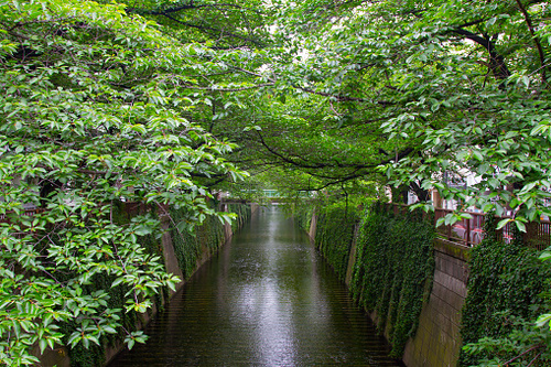 こんなに多い東京の〝水害地名〟