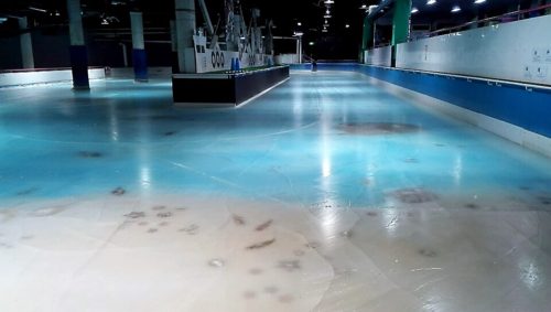世界初！福岡スペースワールドに5000匹の魚を氷漬けにしたスケートリンク誕生